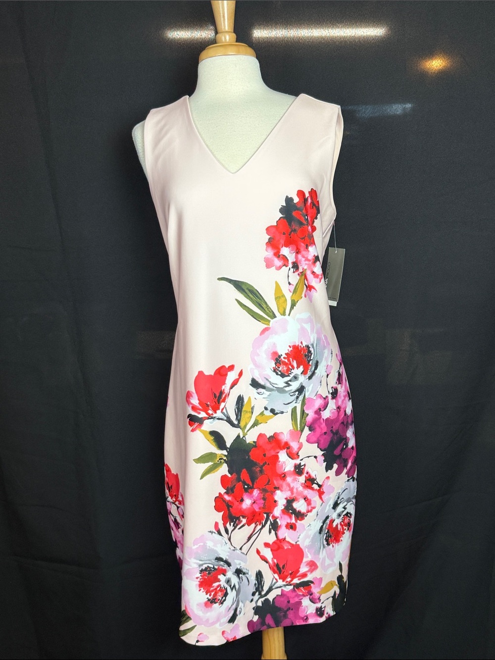 Donna Ricco Blush Midi Dress with Red & Pink Floral Print